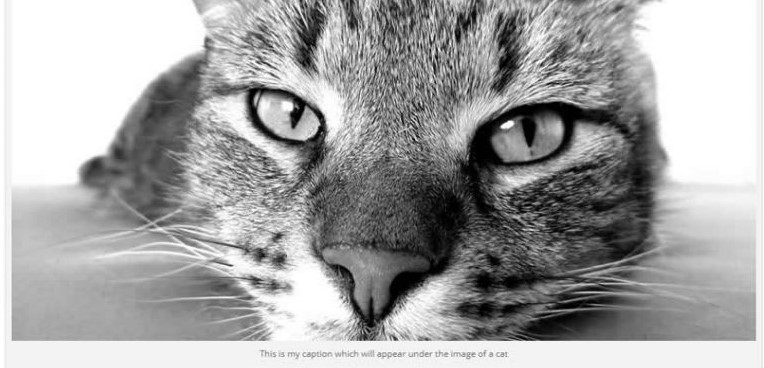 Test Kytice